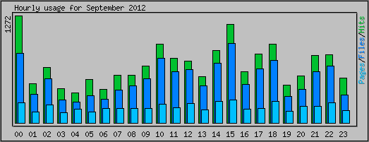 Hourly usage