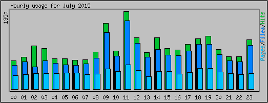 Hourly usage